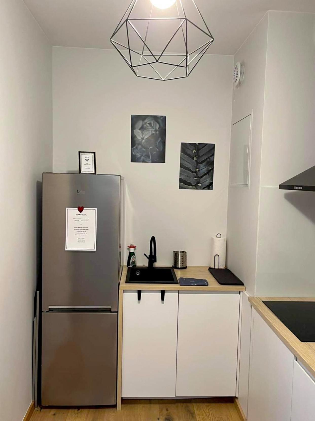 Golden Rose Metro & Park Apartment